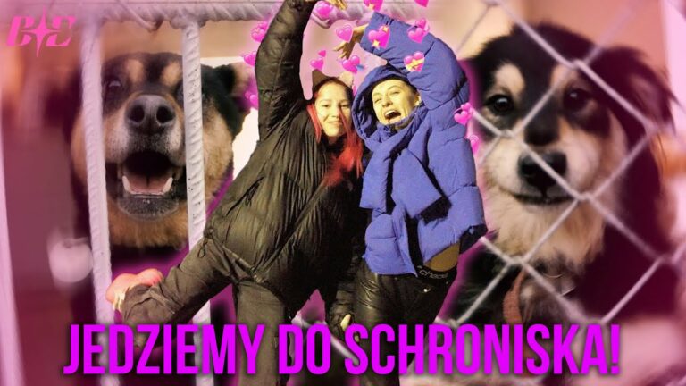 PIESKOWY RECITAL – JEDZIEMY DO SCHRONISKA! – teledysk