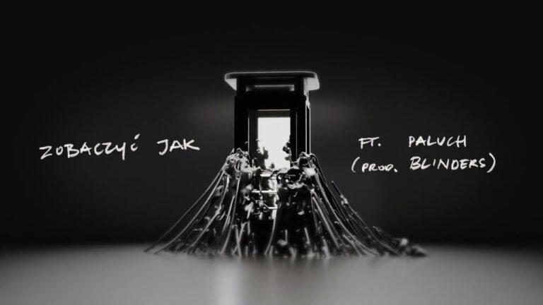 Opał, Gibbs, Paluch – ZOBACZYĆ JAK REMIX – teledysk