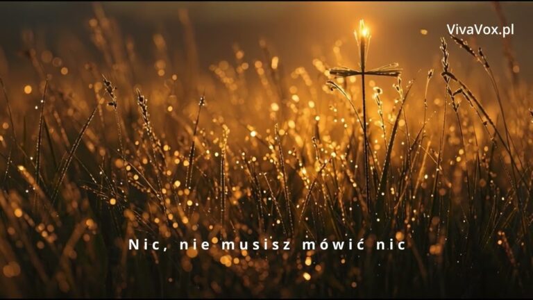 VivaVox – Nic nie musisz mówić nic – teledysk