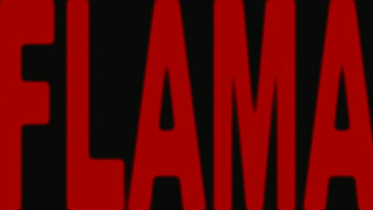 Zippy Ogar, Joachim – FLAMA – teledysk